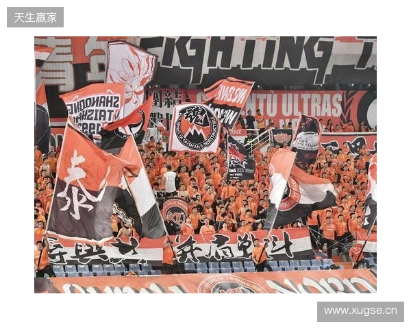 苗原谈泰山引援:账户里有200万水平购买力 但文旅决策尽量少花钱 苗原谈泰山引援:账户里有200万水平购买力 但文旅决策尽量少花钱